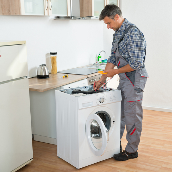 how much should i expect to pay for washer repair services in Delia